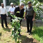 Diamond Jubilee of Pakistan, Tree Plantation Drive Initiated at UET